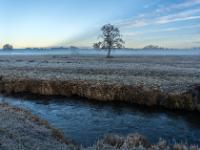 Frostwiese am Mühlbach bei Prien-Schafwaschen mit Nebelstimmung